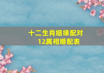 十二生肖姻缘配对 12属相婚配表